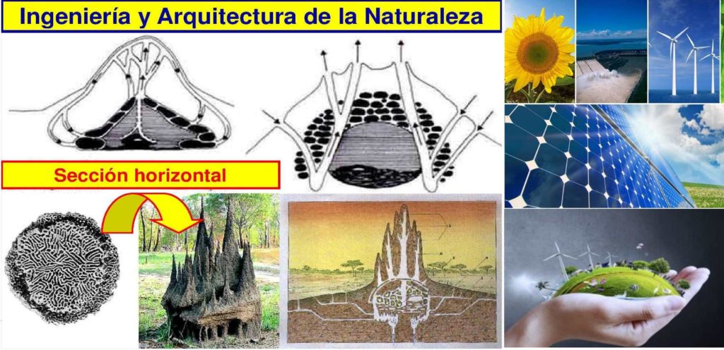 02-arquitectura-ingenieria-y-naturaleza