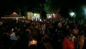 terraza festival