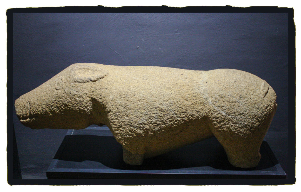 Verraco de Madrigalejo (A. Briz) 