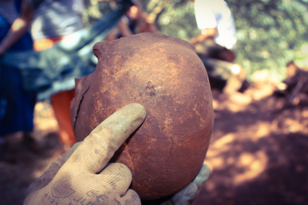 Cráneo trepanado de la cueva de los Postes (Fuentes de León) . (Fotografía cedida por Hipólito Collado).