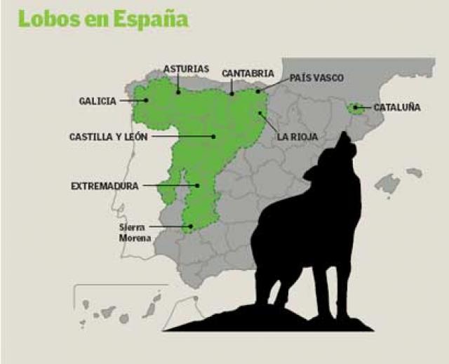 Distribución lobos en España