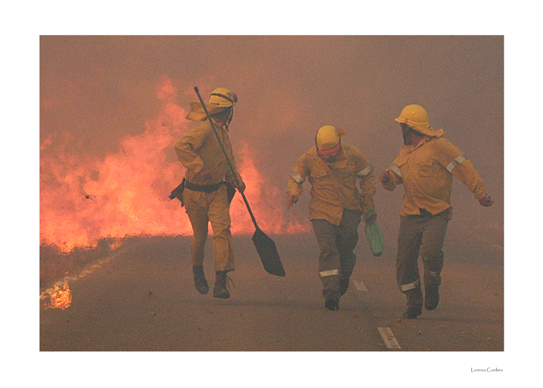 La fuerza de la naturaleza hace retroceder al hombre (2005).