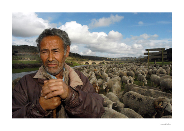 2003. Longinos, el último pastor trashumante de Extremadura en los puentes sobre el Tajo.