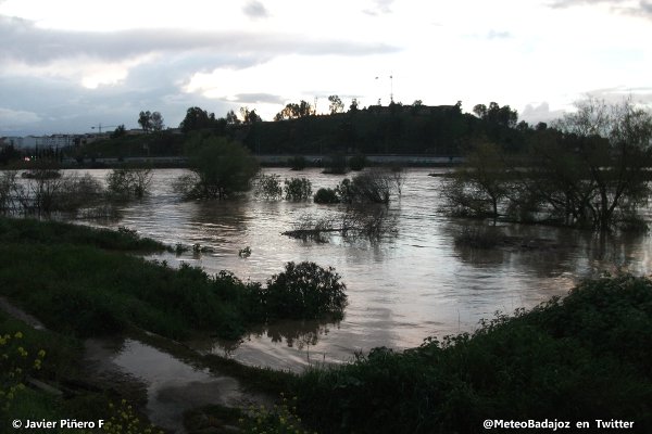Árboles de la isla totalmente cubiertos por el agua.