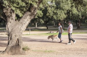 Una pareja pasea a su perro por una dehesa.