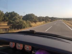 Vistas de la dehesa cacereña desde el interior del coche.