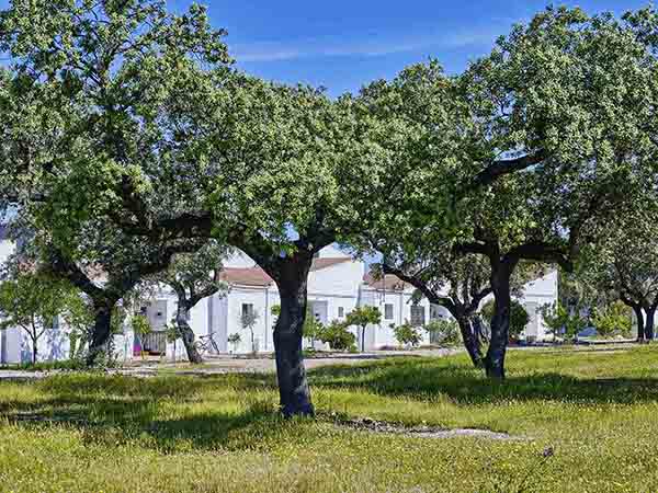 Plaza de la Montaña./ Víctor Gibello