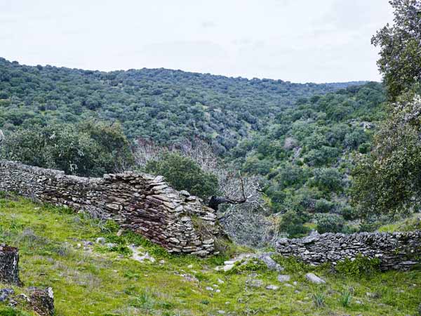 Muralla y paisaje./ Víctor Gibello.