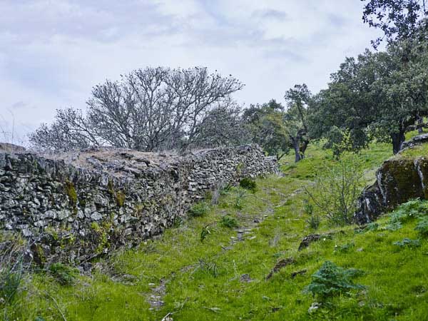 Vista de la muralla./ Víctor Gibello.