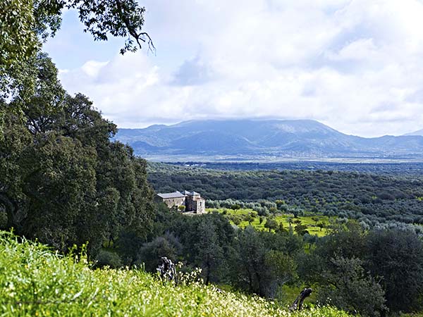 Vista de Santa Lucía y su entorno. / Víctor Gibello