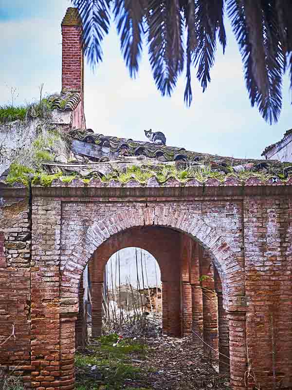 Vista del pórtico / Víctor Gibello