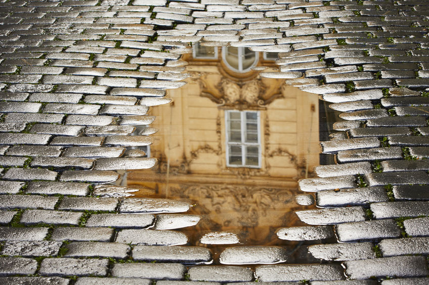 Conocemos el mundo a través de sus reflejos