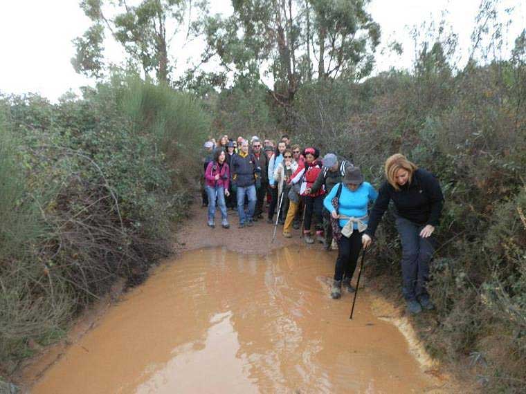 Los senderistas tuvieron que salvar algunos obstáculos en el camino. / VÍA VERDE