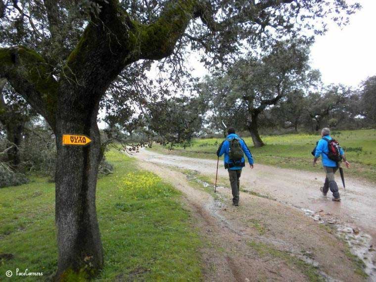 La lluvia acompañó a los caminantes al final de la ruta. / PACO CARRERES