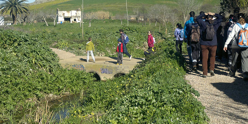 Imagen de la ruta. 