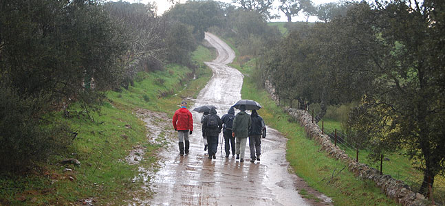 Los caminos que rodean Salvaleón estaban llenos de agua. / CONRADO R. DEL COSSO