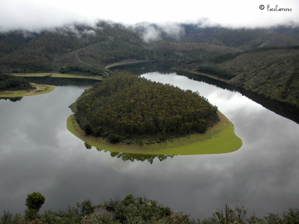 El cauce está completamente lleno a la altura del Meandro de El Melero:: PACO CARRERES