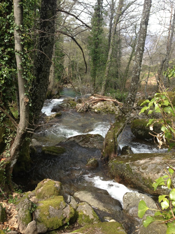 El valle del Jerte luce espectacular tras las lluvias, verde y repleto de agua.