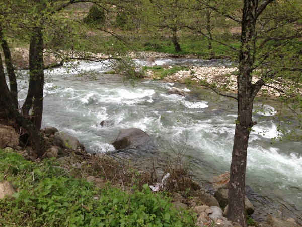 El río Jerte, al llegar a Navaconcejo.