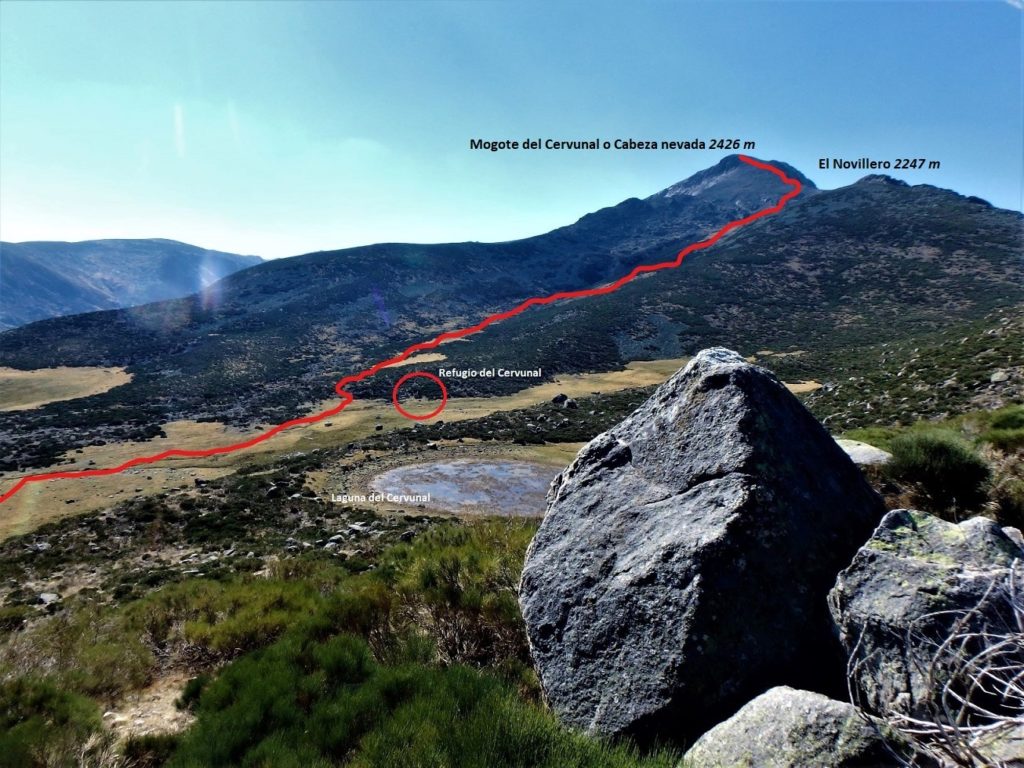 Esta es la ruta normal marcada en rojo para llegar al refugio y subida al Cervunal. Pero mi plan es subir por la arista de la derecha para hacer todas las cotas.