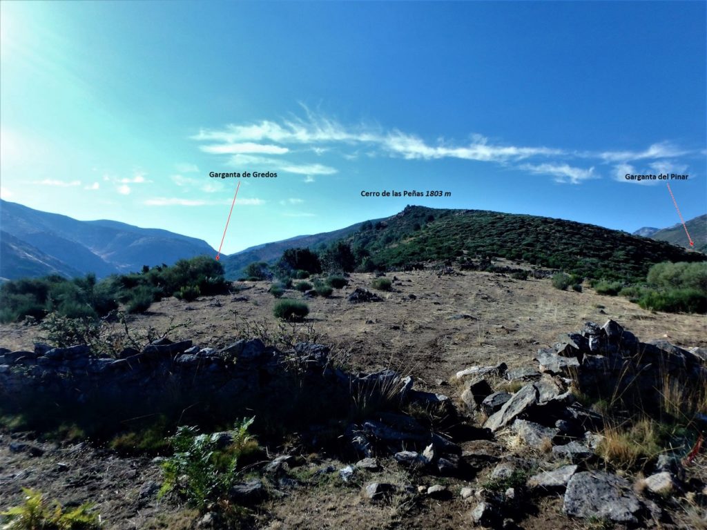 Esta vez, la ruta a seguir es por la pendiente de la montaña en vez de seguir alguna de las gargantas, así siempre iré sumando metros de ascensión. Majada del Machero, para conectar con la Cuerda del Cervunal.