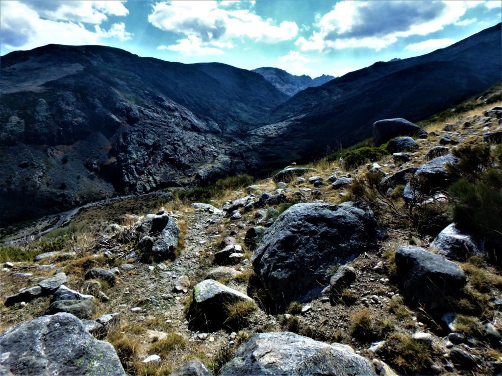 Desde la garganta de Gredos se ve un sendero que sube hasta los llanos del Cervunal, pero debido a lo abrupto de la bajada de la garganta pierdo la referencia y me meto en un buen marrón al tratar de subir a lo alto del llano, los piornos junto con helechos apenas me dejan por donde voy. Después de casi una hora enganchado a todo tipo de ramajos, al fin encuentro la antigua senda de subida, apenas está transitada pero sigue teniendo hitos ufff menos mal.