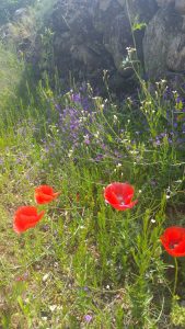 20170515_122812