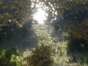 img_5175