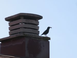 img_7303