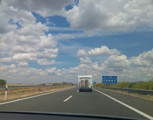 buitres-1