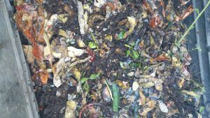 compost-casero-1