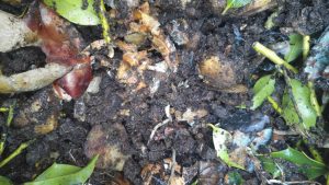 compost-casero-2