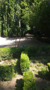 limpieza