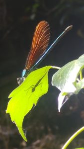 20180728_180249