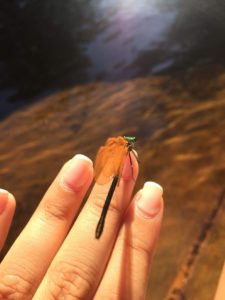 img-20180728-wa0009