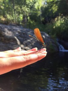 img-20180728-wa0010