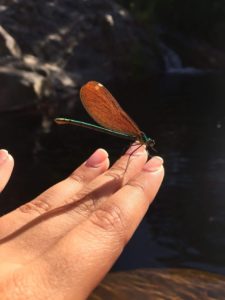 img-20180728-wa0011