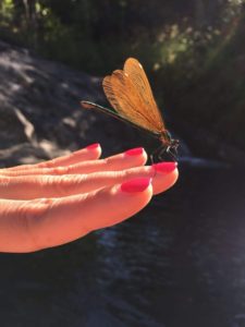 img-20180728-wa0017
