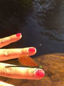 img-20180728-wa0018