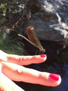 img-20180728-wa0019