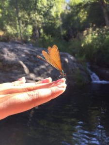 img-20180728-wa0023