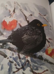 Lars Jonsson (Winter Birds, editorial Bloomsbury).