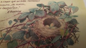 Edith Holden (La felicidad de vivir con la naturaleza, editorial Blume).