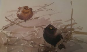 Lars Jonsson (Birds and light. The art of Lars Jonsson, editorial Helm).