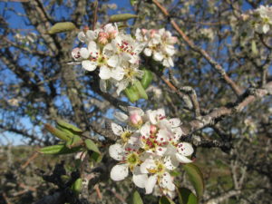 img_3353