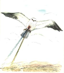 Ilustración de Pura Martínez.
